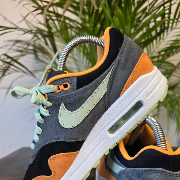 Nike Air Max 1 Duck 