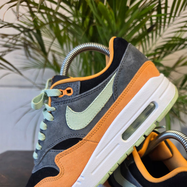 Nike Air Max 1 Duck 