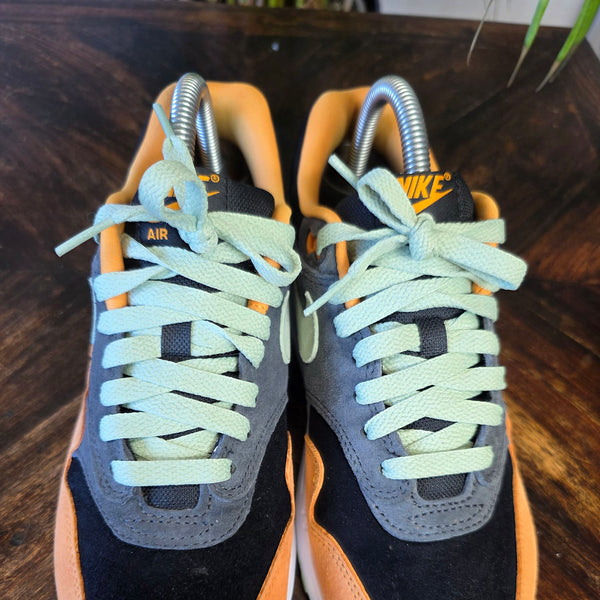 Nike Air Max 1 Duck 