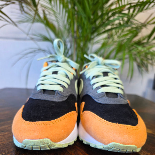Nike Air Max 1 Duck 
