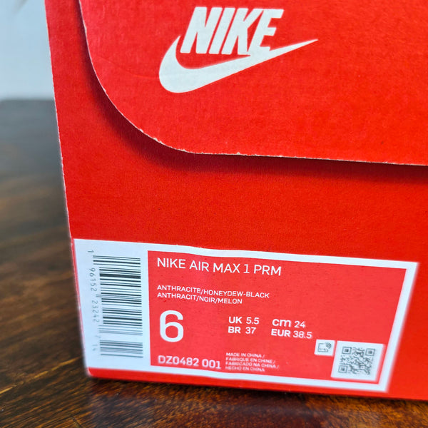 Nike Air Max 1 Duck 
