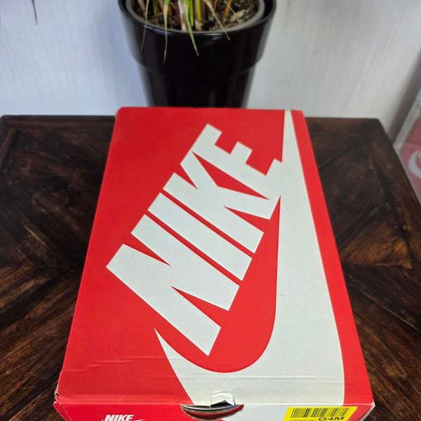 Nike Air Max 1 Duck Honeydew maat 40