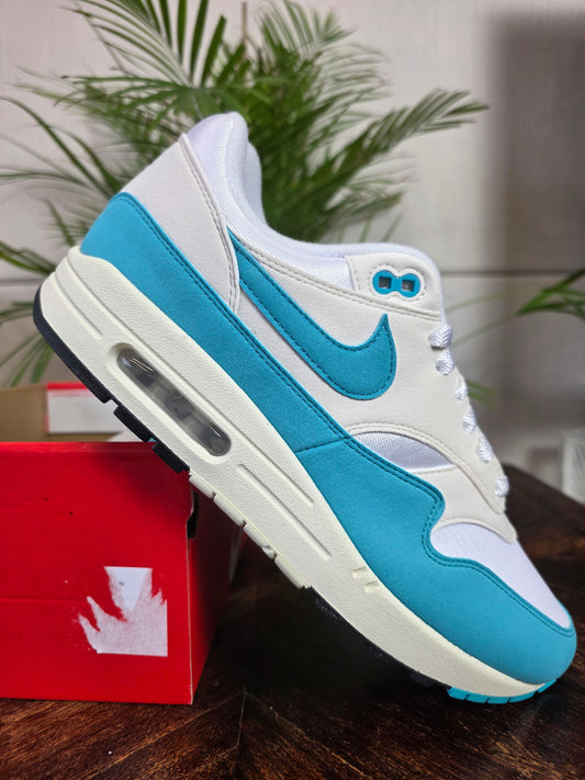 Nike Air Max 1 Dusty Cactus maat 44,5