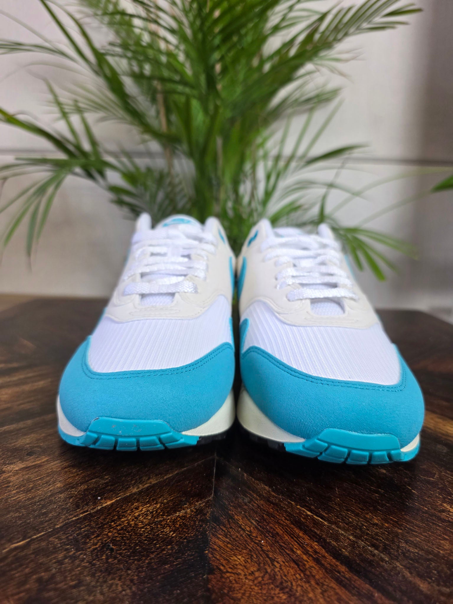 Nike Air Max 1 Dusty Cactus maat 44,5