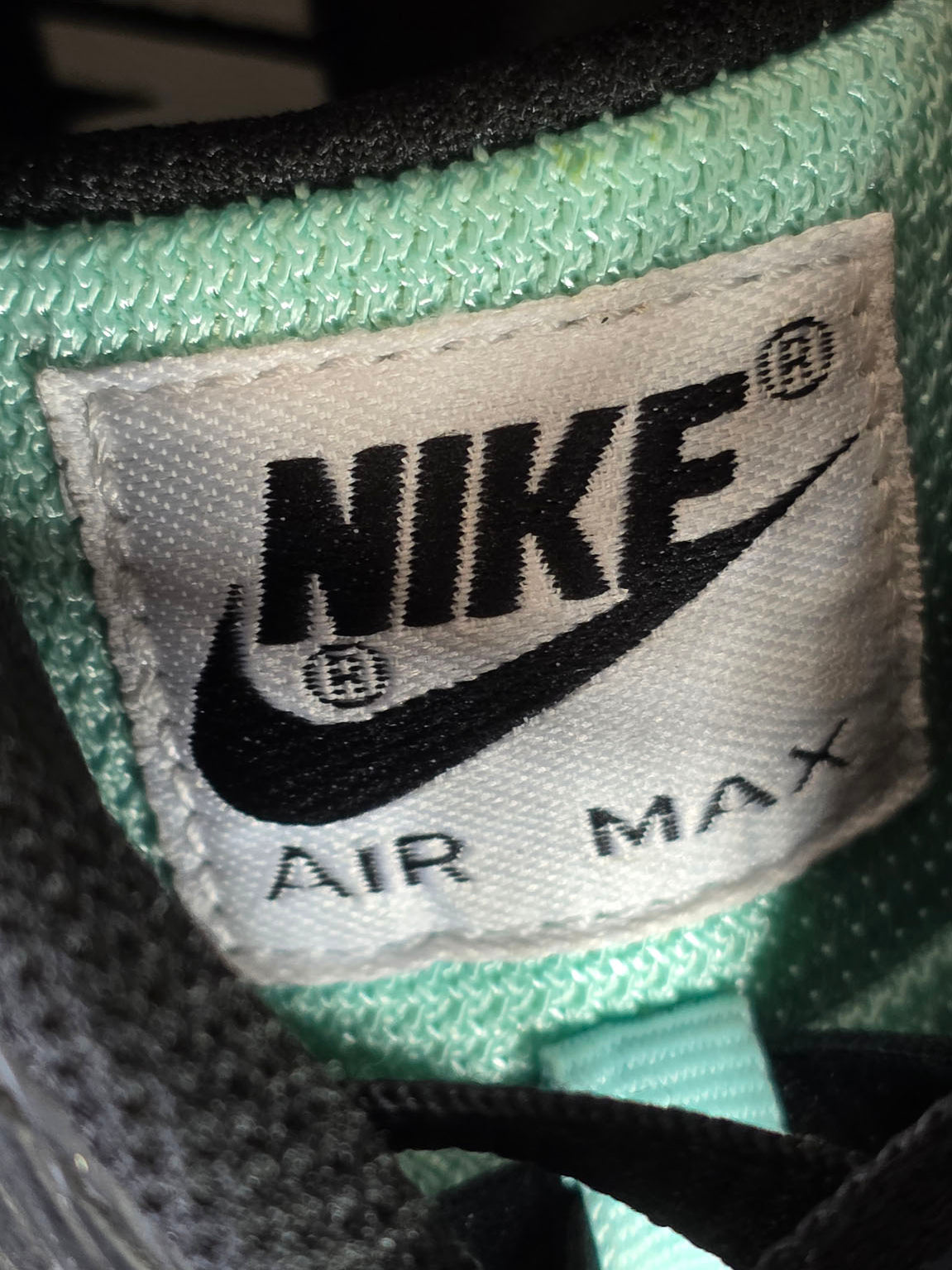 Nike Air Max 90 Animal Safari Leopard Blue maat 44