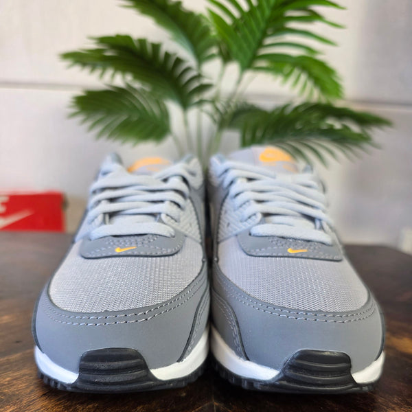Nike Air Max 90 Sundial Grey maat 40