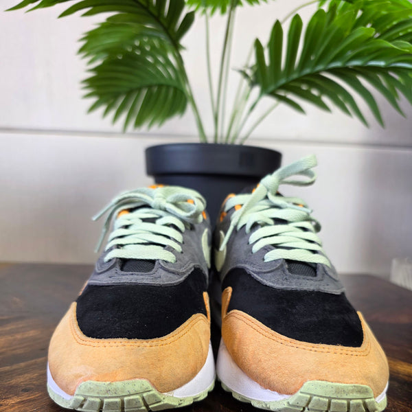 Nike Air Max 1 PRM Duck Honey Dew maat 40