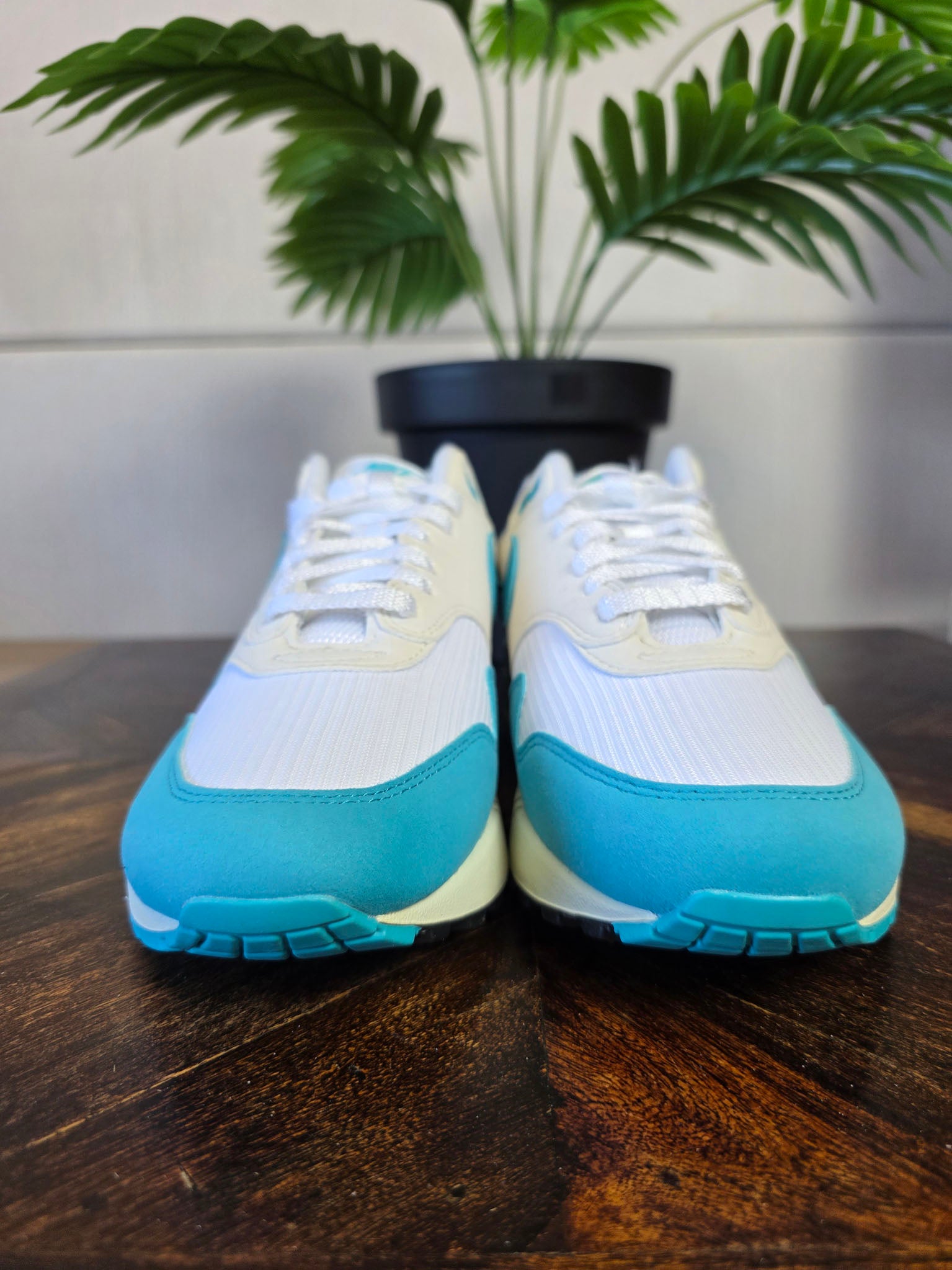 Nike Air Max 1 Dusty Cactus maat 42,5