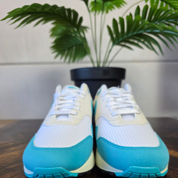 Nike Air Max 1 Dusty Cactus maat 42,5