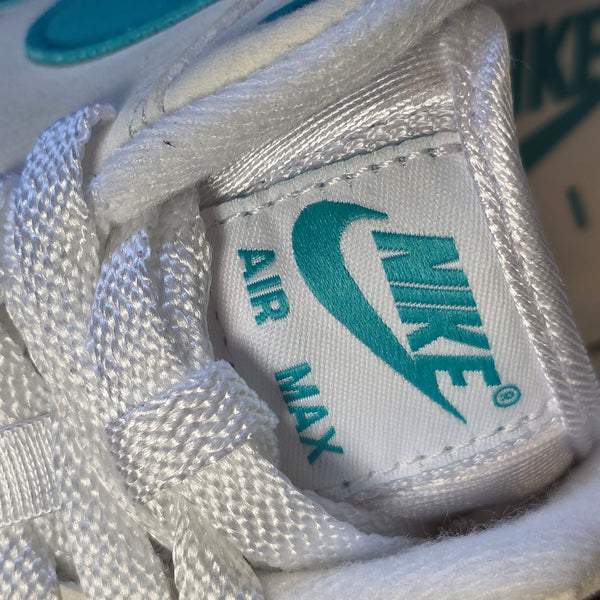 Nike Air Max 1 Dusty Cactus maat 42,5