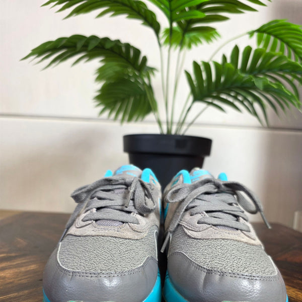 Nike Air Max 1 Light Ash maat 42