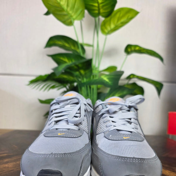 Nike Air Max 90 Sundial Grey maat 47,5