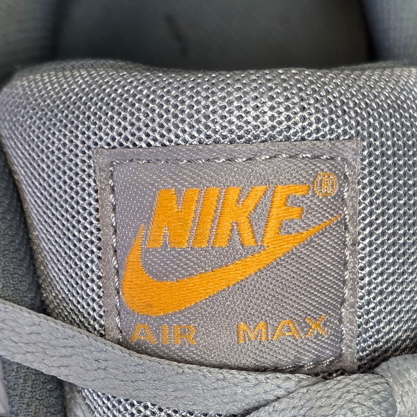 Nike Air Max 90 Sundial Grey maat 47,5