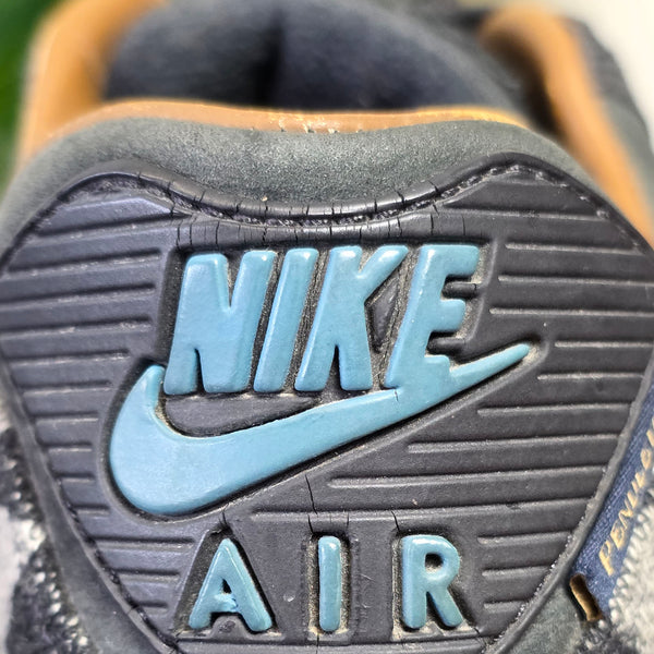 Nike Air Max 90 Pendleton maat 38,5