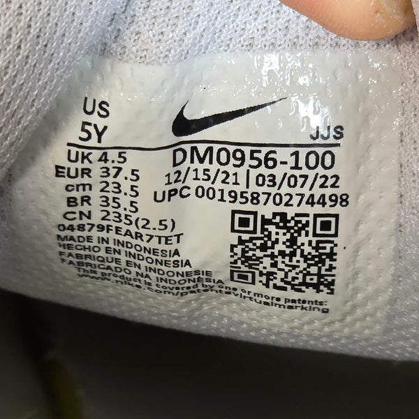 Nike Air Max LTR Rainbow Salmon maat 37,5