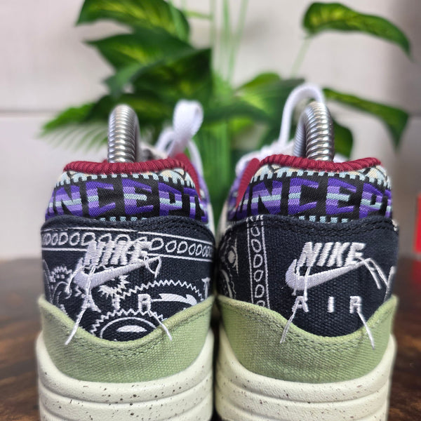 Nike Air Max 1 SP Concepts Mellow maat 36,5