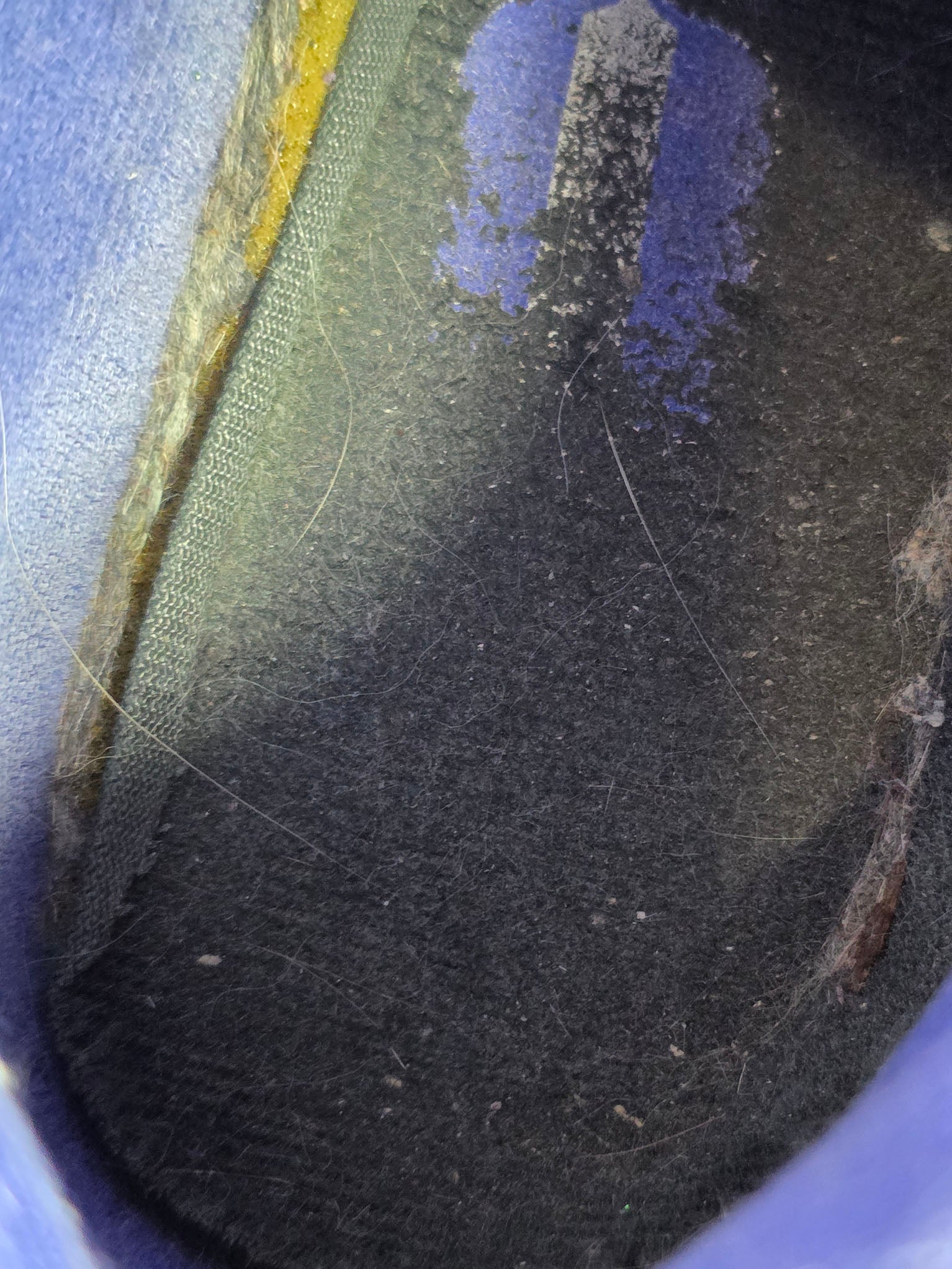 Nike Air Max BW Persian Violet maat 38