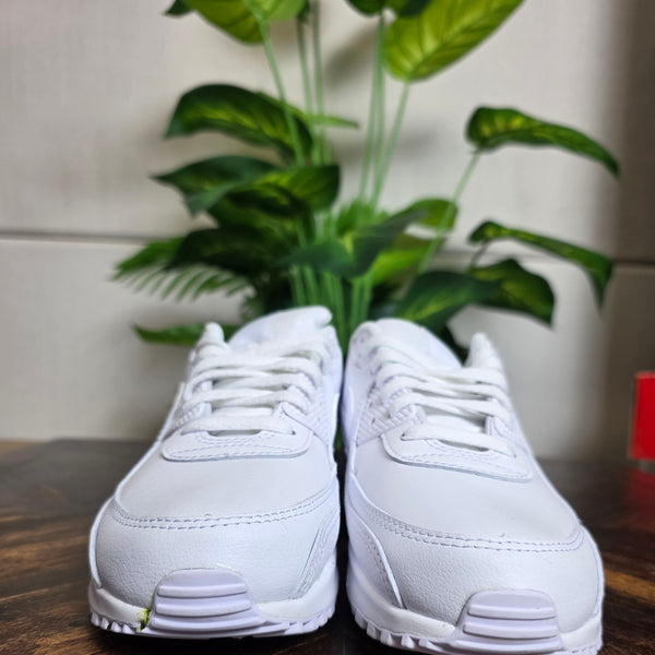 Nike Air Max 90 Triple White LTR maat 42