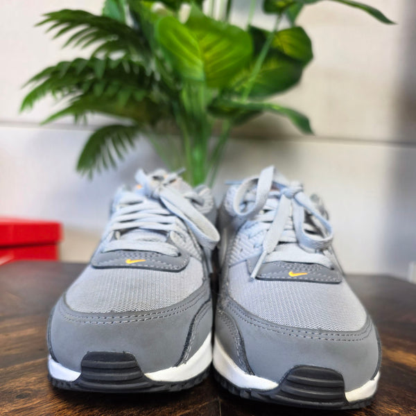 Nike Air Max 90 Sundial Grey maat 40