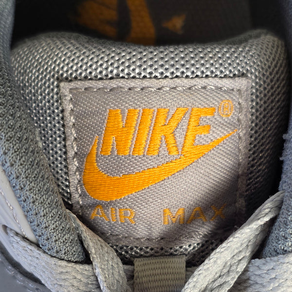 Nike Air Max 90 Sundial Grey maat 40