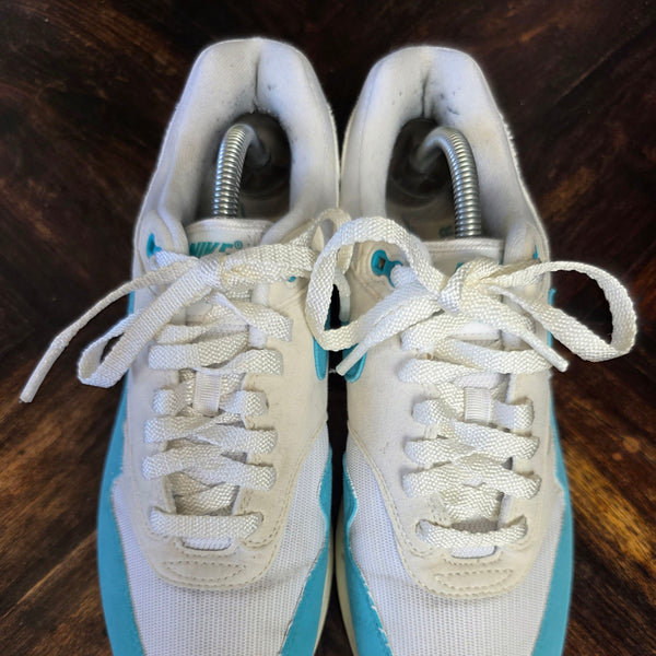 Nike Air Max 1 Dusty Cactus maat 42,5