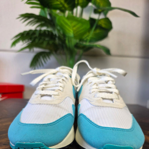 Nike Air Max 1 Dusty Cactus maat 42,5