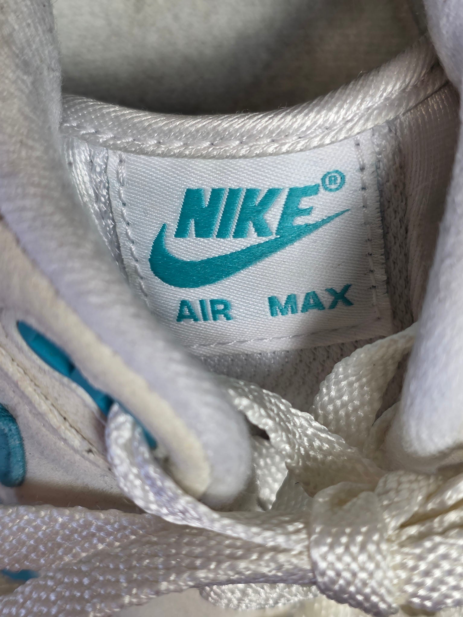 Nike Air Max 1 Dusty Cactus maat 42,5