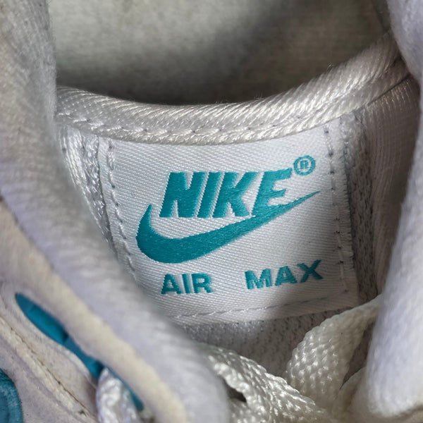 Nike Air Max 1 Dusty Cactus maat 42,5