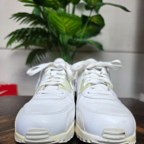 Nike Air Max 90 Triple White LTR maat 42,5