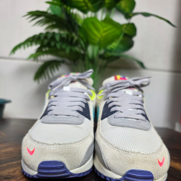 Nike Air Max 90 Evolution of Icons (EOI) maat 41