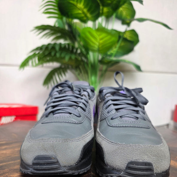Nike Air Max 90 Wild Grape maat 46