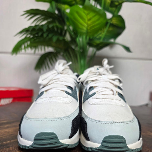 Nike Air Max 90 Vintage Phantom maat 42