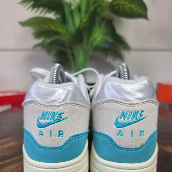 Nike Air Max 1 Dusty Cactus maat 38,5