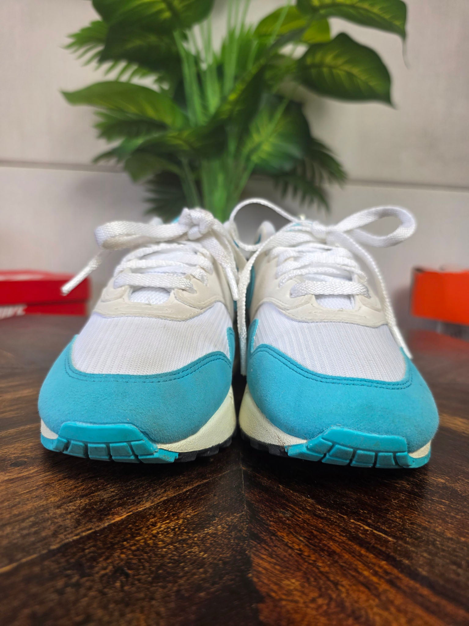Nike Air Max 1 Dusty Cactus maat 38,5