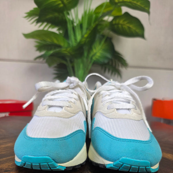 Nike Air Max 1 Dusty Cactus maat 38,5
