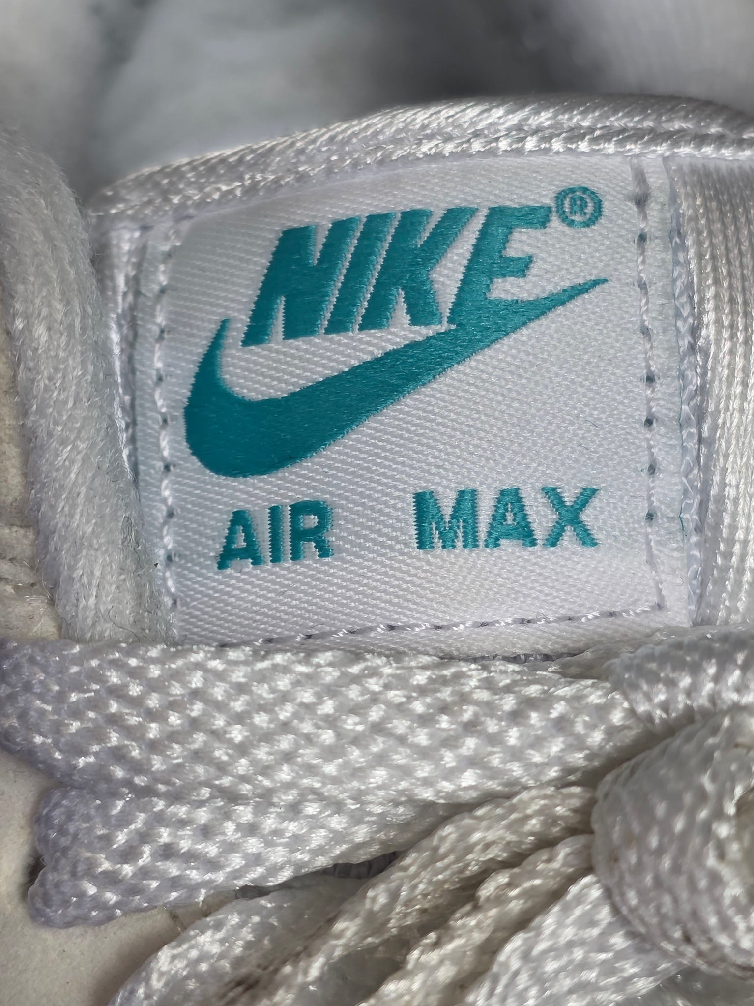 Nike Air Max 1 Dusty Cactus maat 38,5