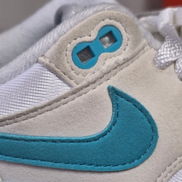 Nike Air Max 1 Dusty Cactus maat 38,5