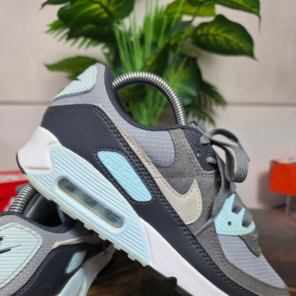 Nike Air Max 90 Light Pumice Smoke Grey maat 40