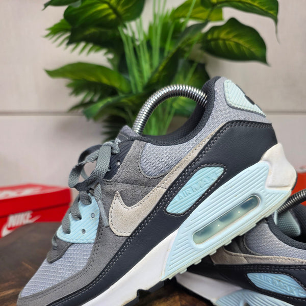 Nike Air Max 90 Light Pumice Smoke Grey maat 40