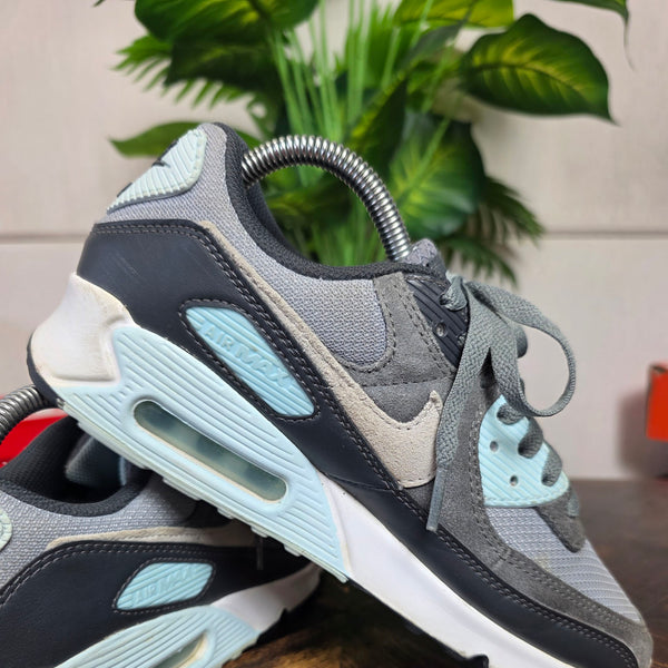 Nike Air Max 90 Light Pumice Smoke Grey maat 40