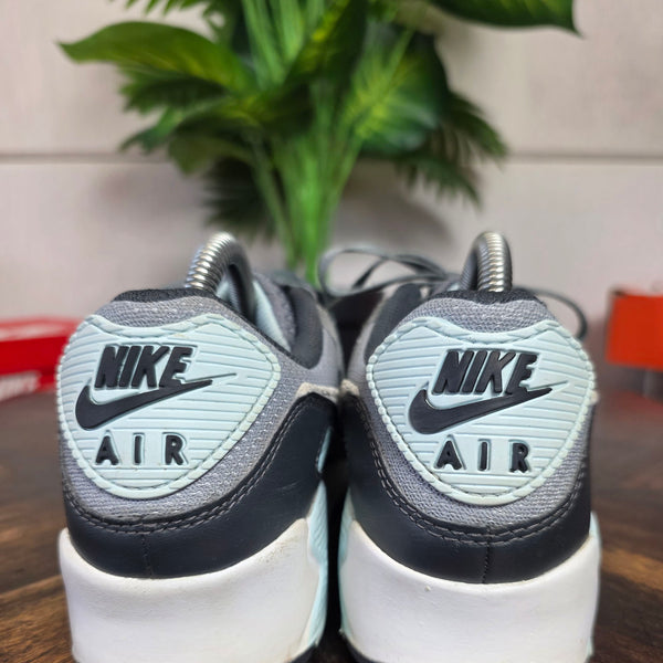 Nike Air Max 90 Light Pumice Smoke Grey maat 40