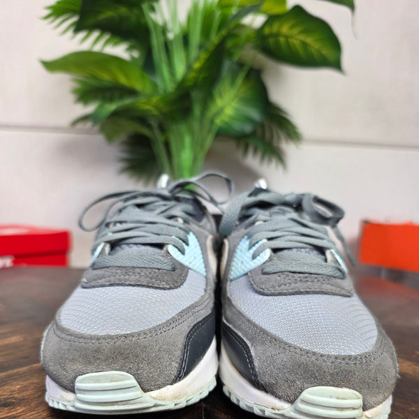 Nike Air Max 90 Light Pumice Smoke Grey maat 40