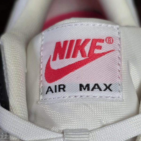 Nike Air Max 90 Aster Pink maat 44,5