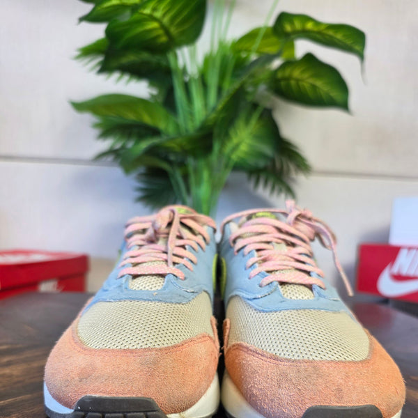 Nike Air Max 1 Madder Root maat 44,5