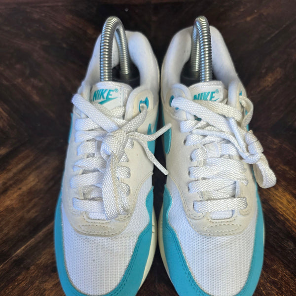 Nike Air Max 1 Dusty Cactus maat 36,5