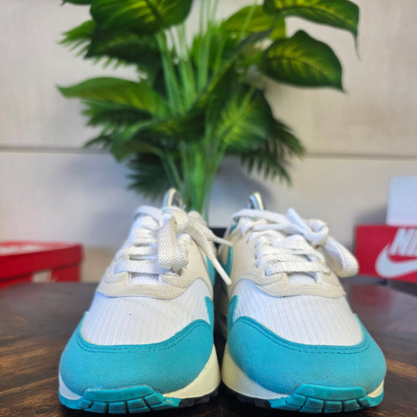 Nike Air Max 1 Dusty Cactus maat 36,5