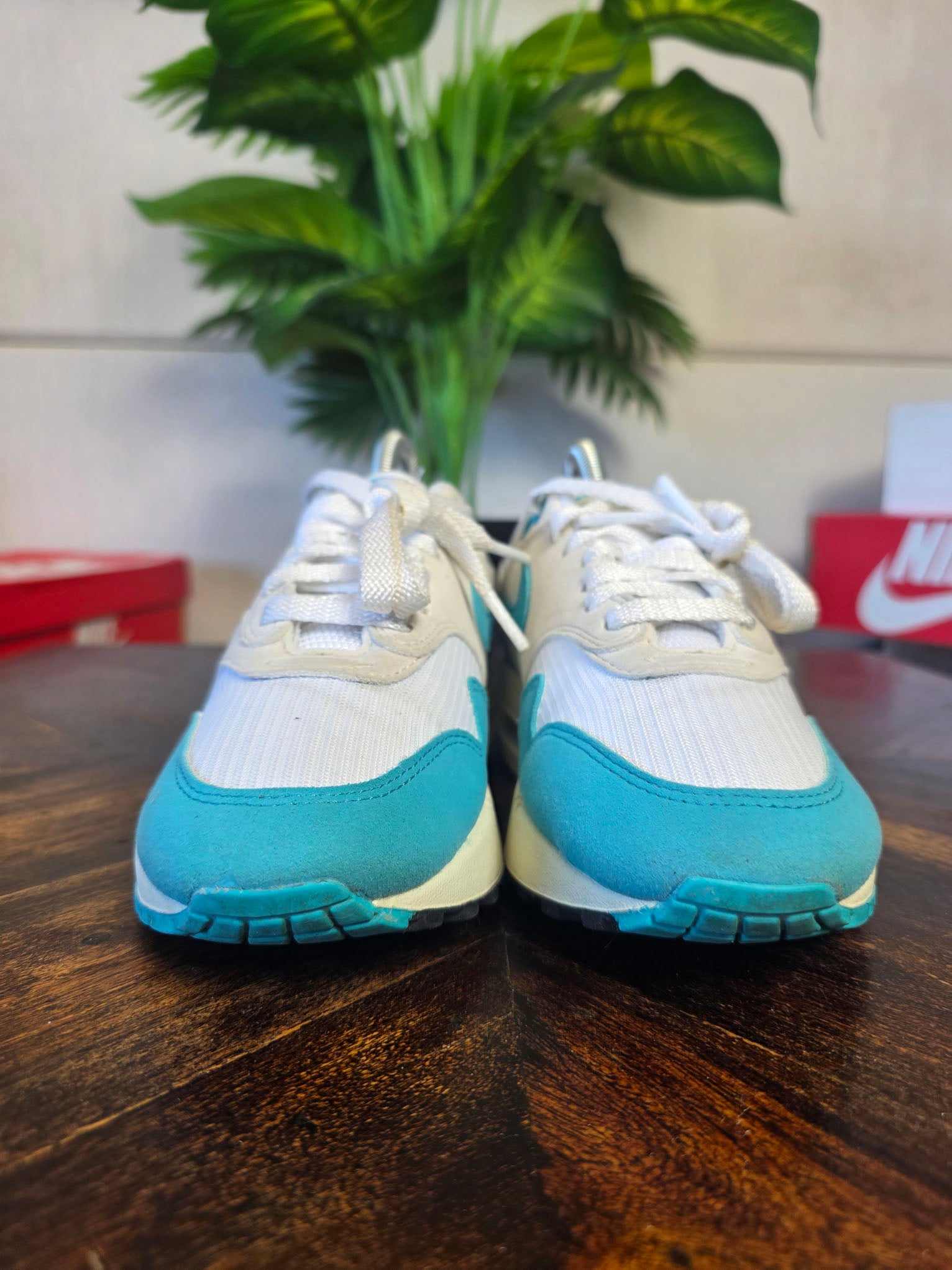 Nike Air Max 1 Dusty Cactus maat 36,5