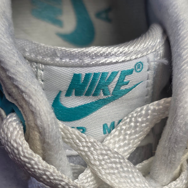 Nike Air Max 1 Dusty Cactus maat 36,5