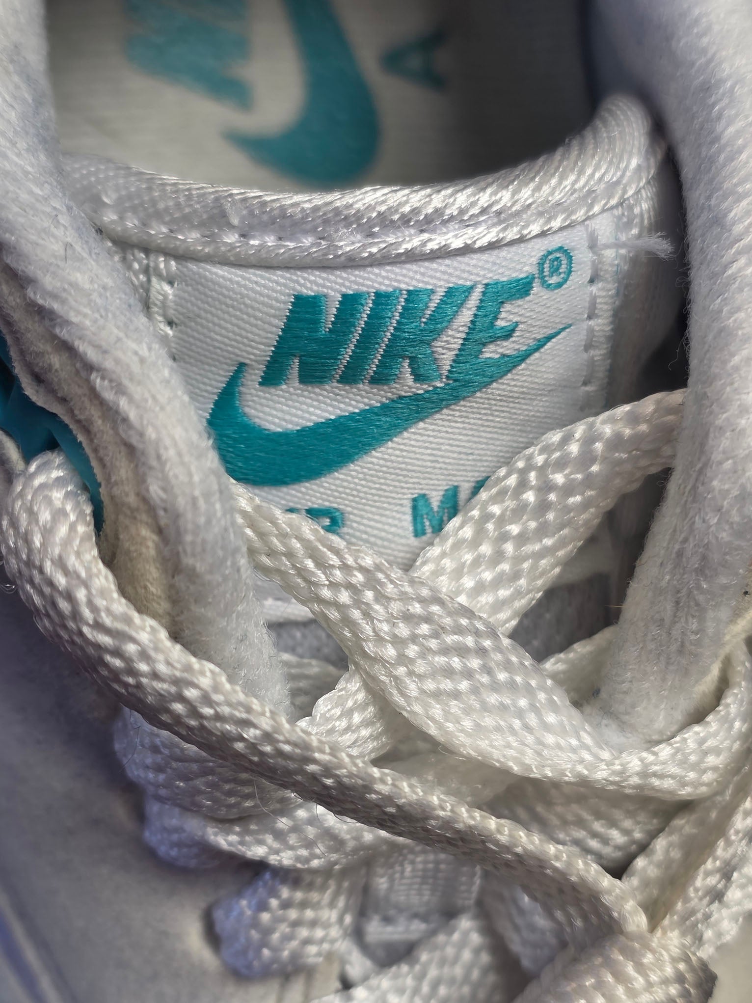 Nike Air Max 1 Dusty Cactus maat 36,5