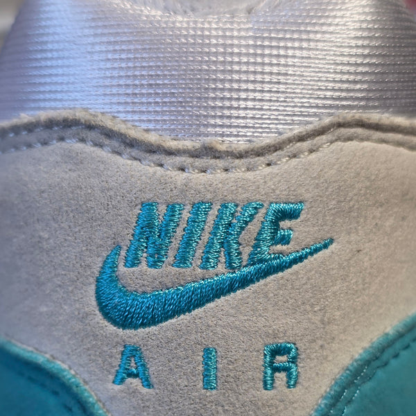 Nike Air Max 1 Dusty Cactus maat 36,5